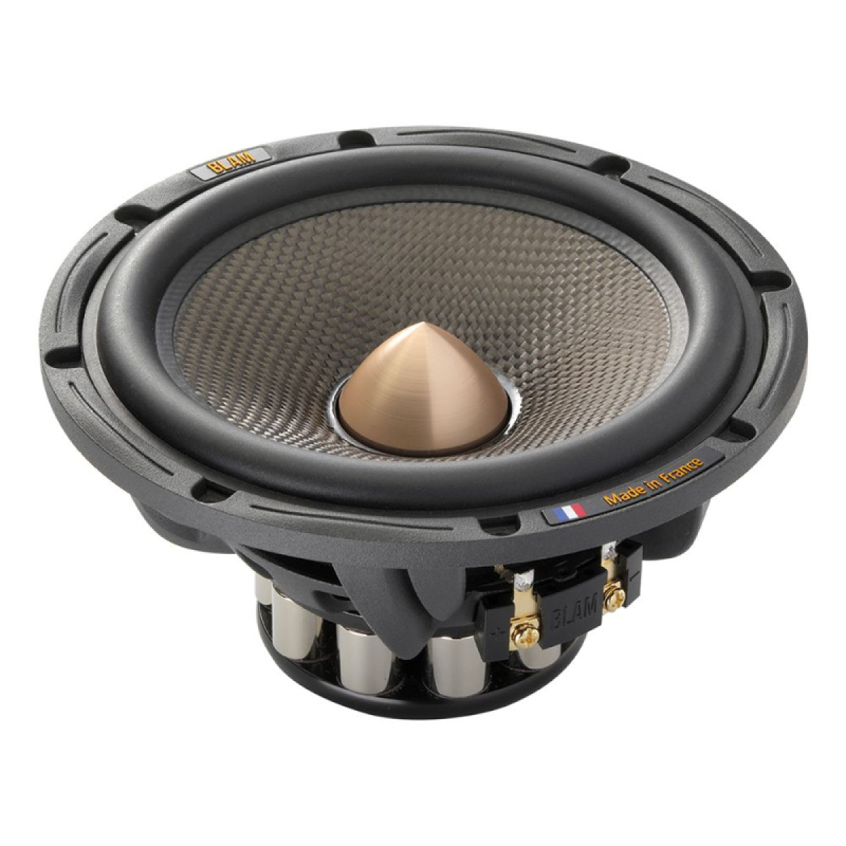 Blam WS6MULITX