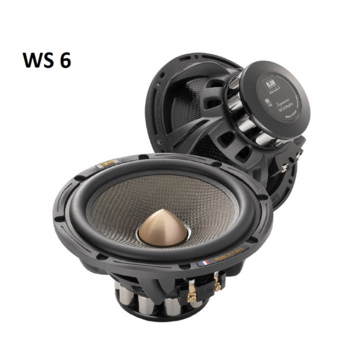 Blam WS6MULITX