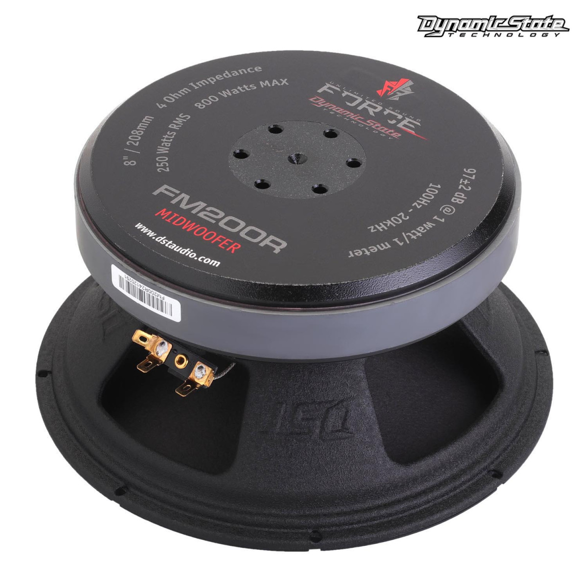 Эстрадная акустика Dynamic State FORCE FM200R