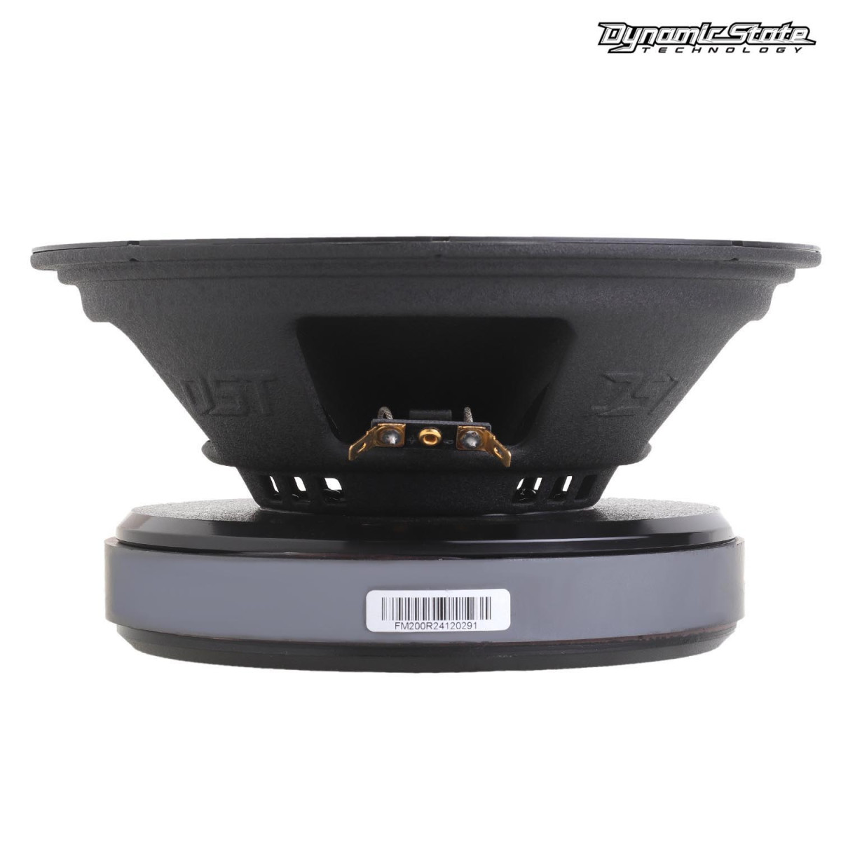 Эстрадная акустика Dynamic State FORCE FM200R