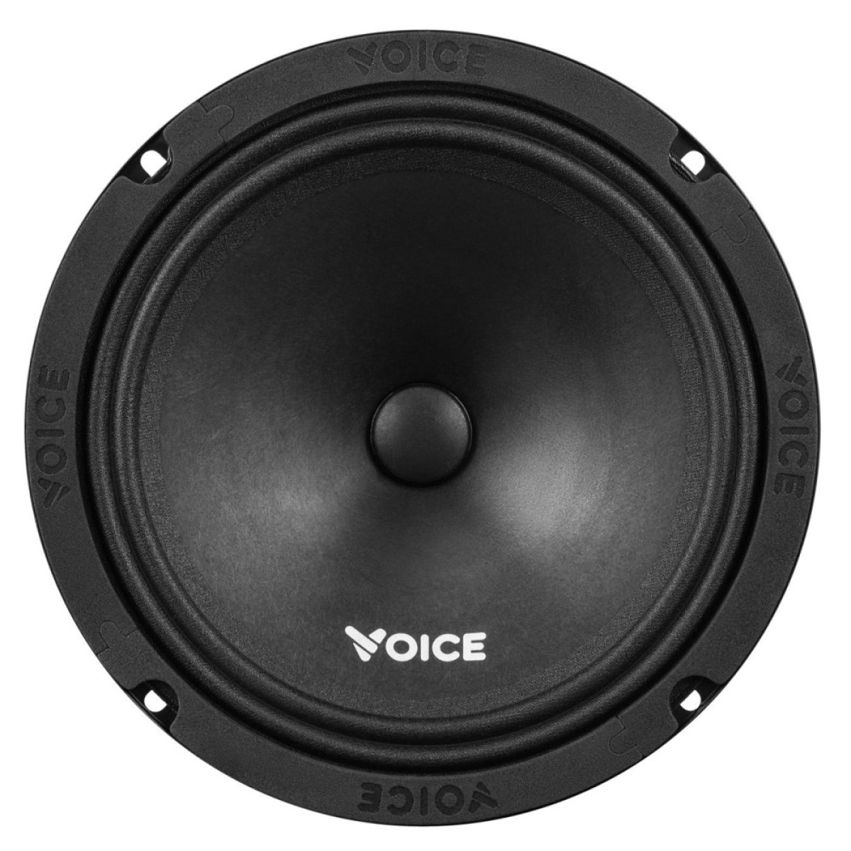 Voice ST-200