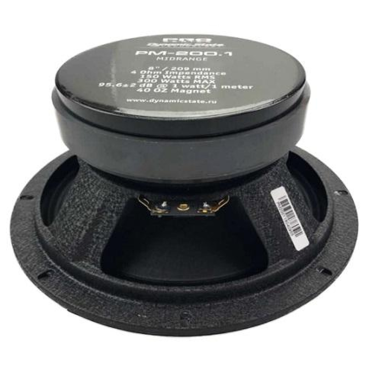 Эстрадная акустика Dynamic State PM-200.1