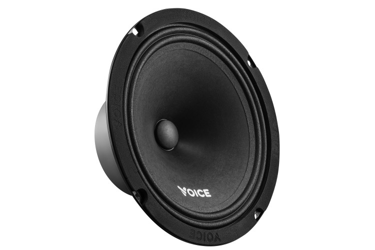 Естрадна акустика Voice ST-200