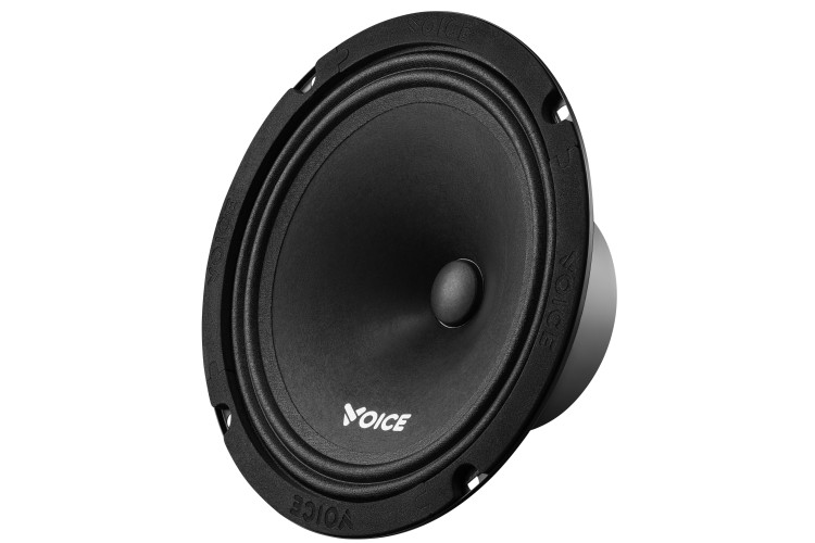Естрадна акустика Voice ST-200