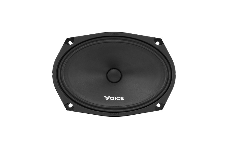 Естрадна акустика Voice ST-69
