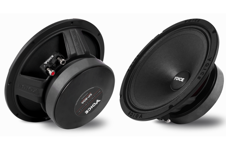 Естрадна акустика Voice SP-80A