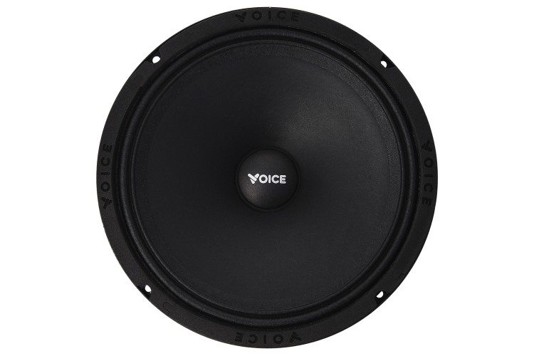 Естрадна акустика Voice SP-80A
