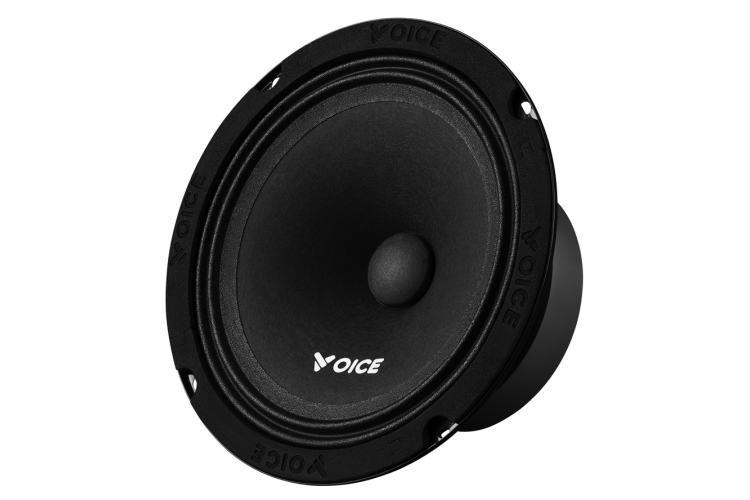 Естрадна акустика Voice PX-165