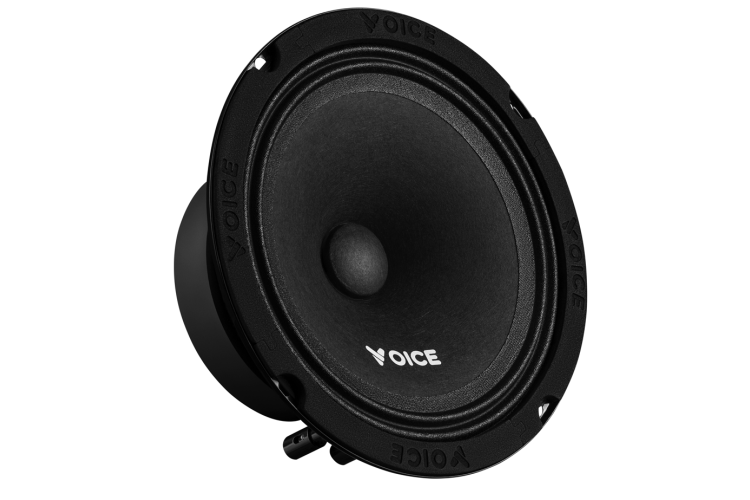 Естрадна акустика Voice PX-165