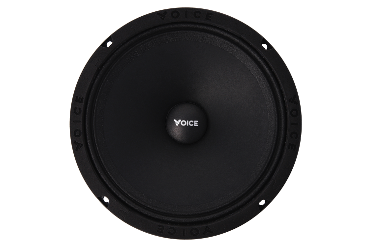 Естрадна акустика Voice SP-60A