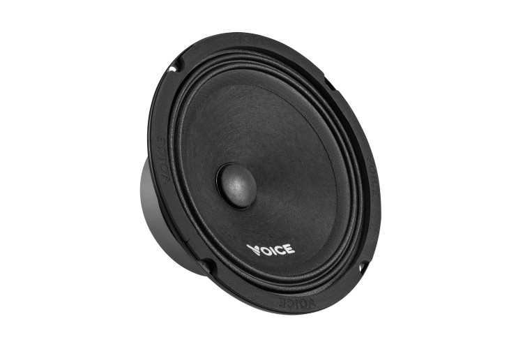 Естрадна акустика Voice ST-165