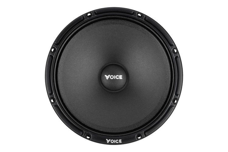 Естрадна акустика Voice SP-60AX