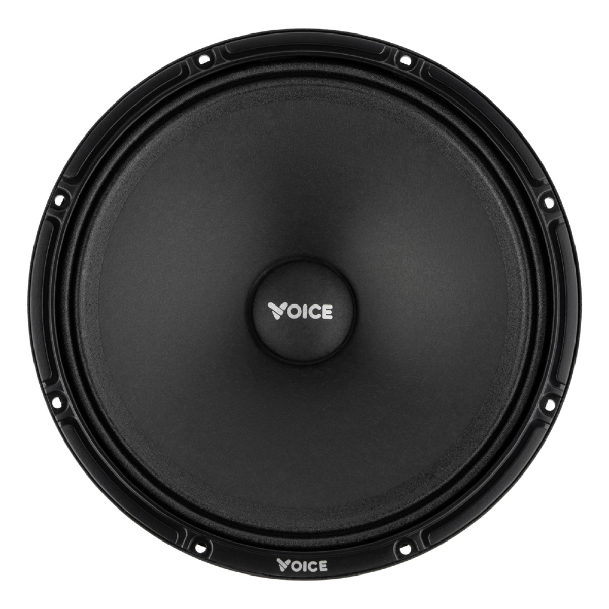 Естрадна акустика Voice SP-80AX Естрадна акустика Voice SP-80AX