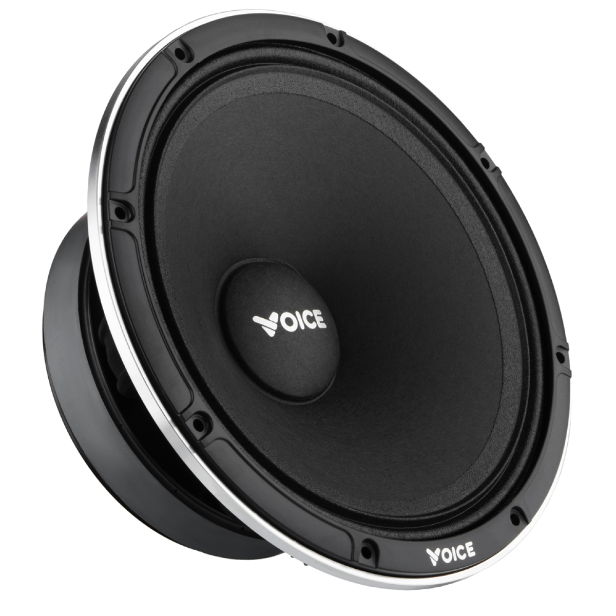 Естрадна акустика Voice EX-80L Естрадна акустика Voice EX-80L
