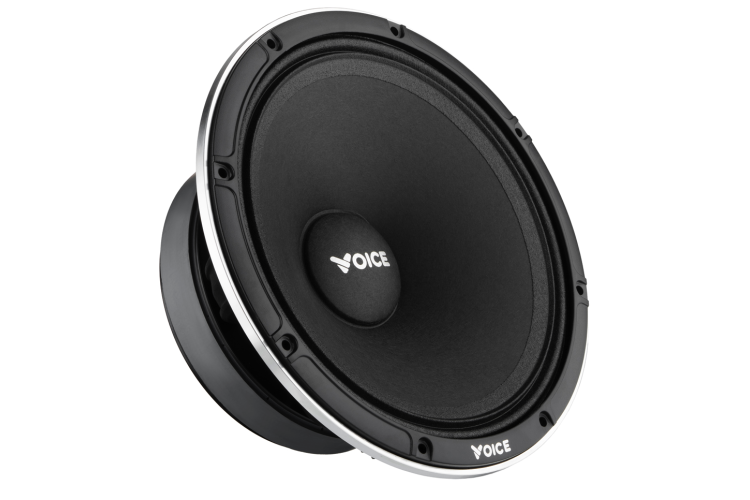 Естрадна акустика Voice EX-80L