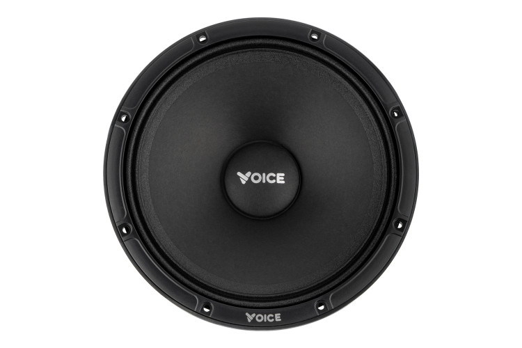 Естрадна акустика Voice EX-80L