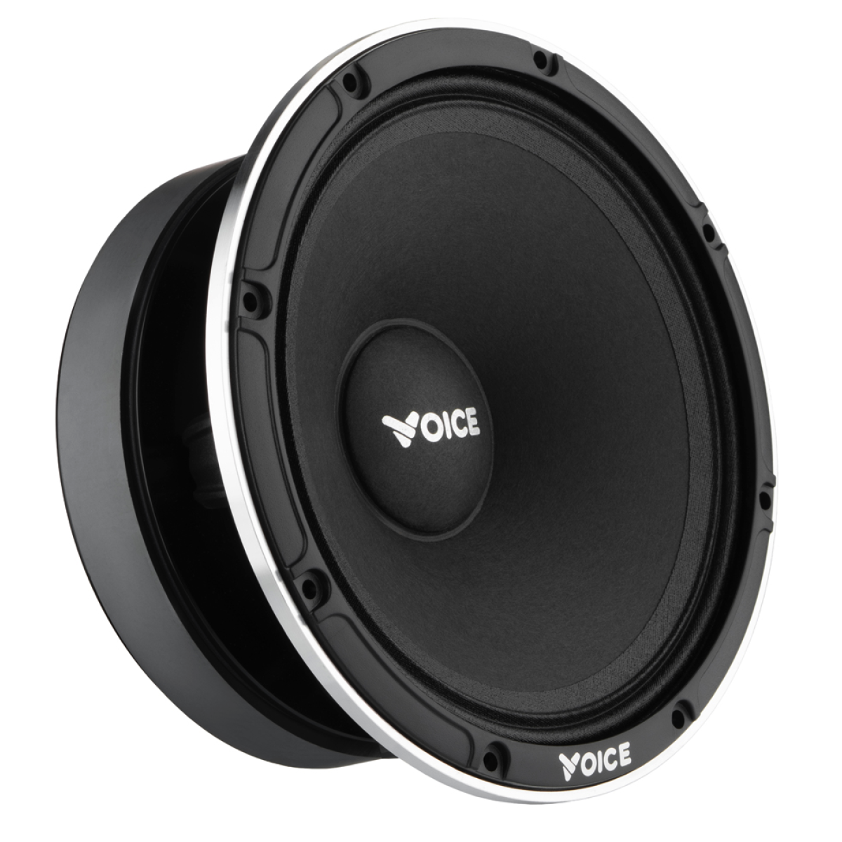 Естрадна акустика Voice EX-65L Естрадна акустика Voice EX-65L