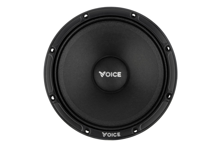 Естрадна акустика Voice EX-65L