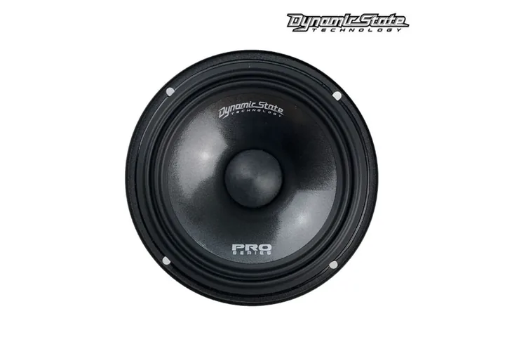 Естрадна акустика Dynamic State PRO PM-165.3