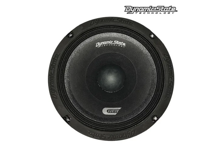 Естрадна акустика Dynamic State CUSTOM CM-20.4v2