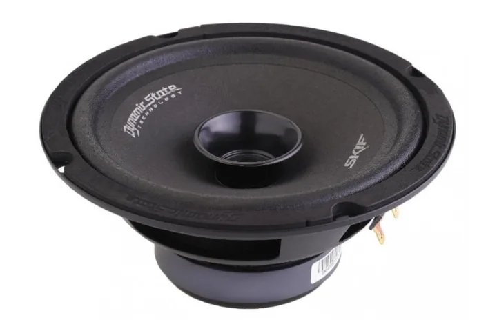 Эстрадная акустика Dynamic State SKIF SKM-165
