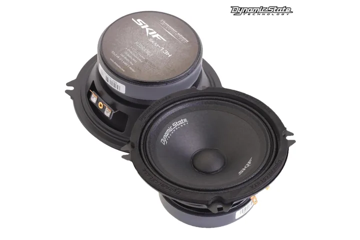 Естрадна акустика Dynamic State SKIF SKM-13H