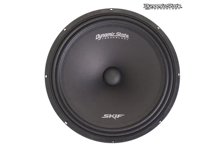 Эстрадная акустика Dynamic State SKIF SKM-20V