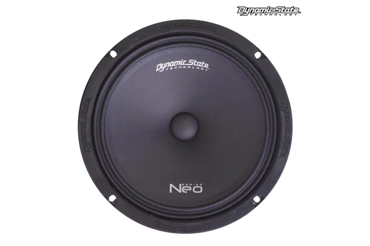 Эстрадная акустика Dynamic State NEO NM-20 Midel