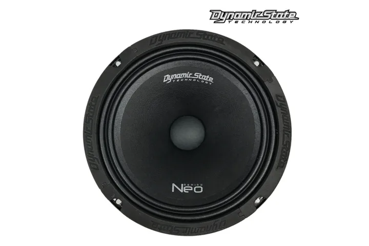 Естрадна акустика Dynamic State NEO NM-20.2