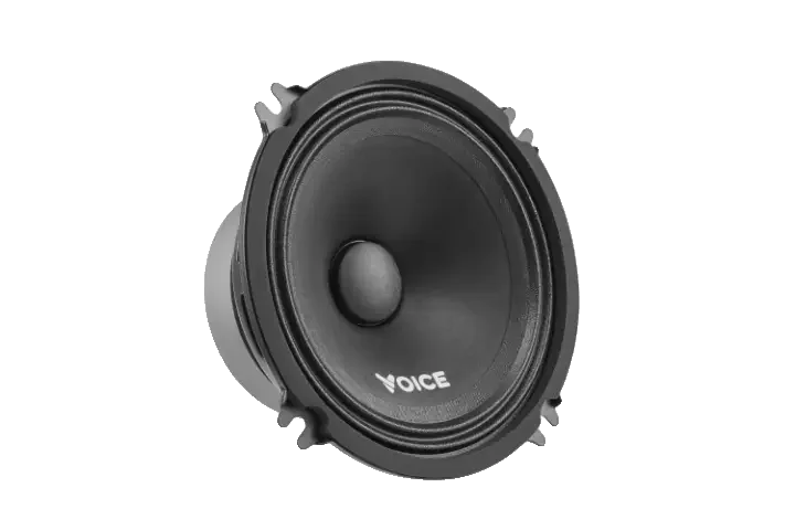 Естрадна акустика Voice ST-130