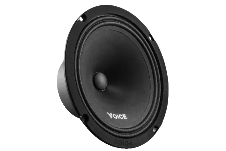 Естрадна акустика Voice ST-200