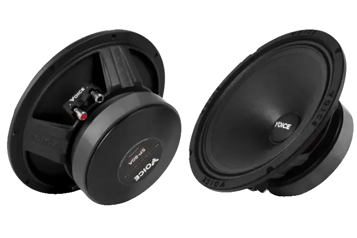 Естрадна акустика Voice SP-80A