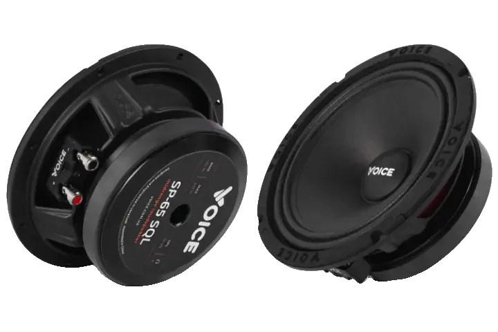 Естрадна акустика Voice SP-65 SQL