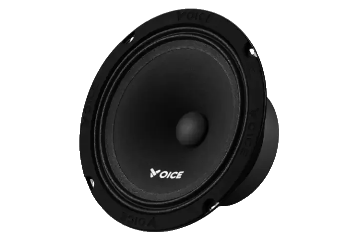 Естрадна акустика Voice PX-165