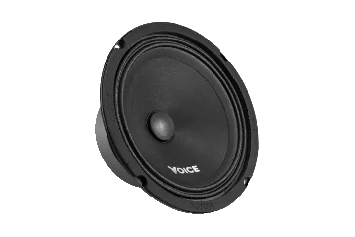 Естрадна акустика Voice ST-165