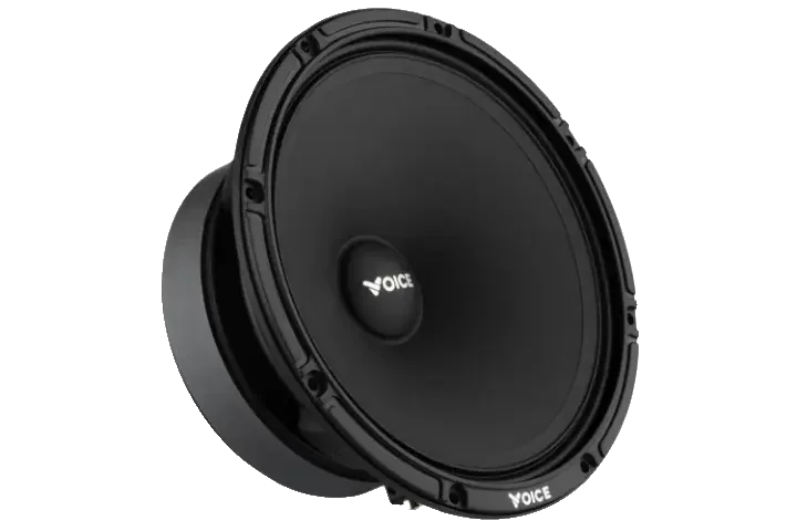 Естрадна акустика Voice SP-60AX