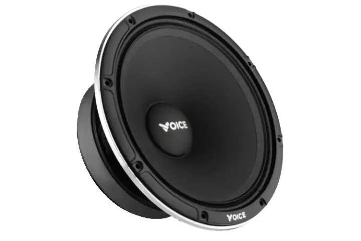 Естрадна акустика Voice EX-80L
