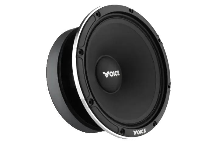 Естрадна акустика Voice EX-65L